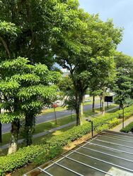 Westville (D22), Terrace #446127031